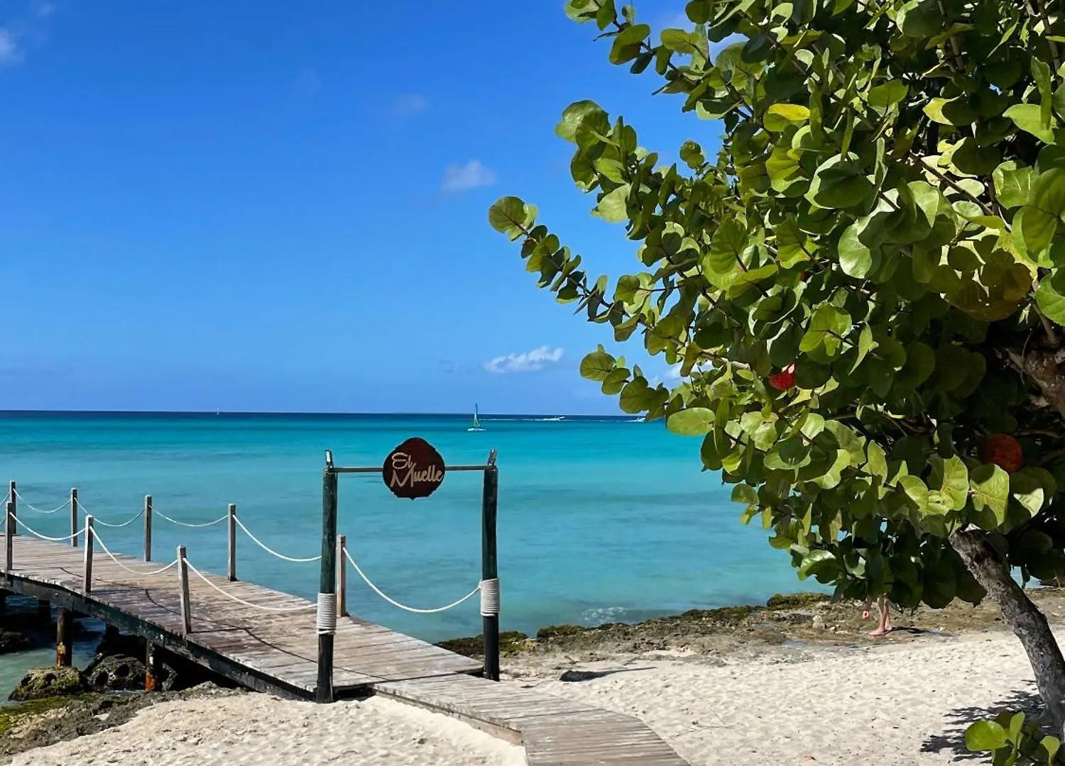 2Br Beachfront Cadaques Caribe Bayahibe