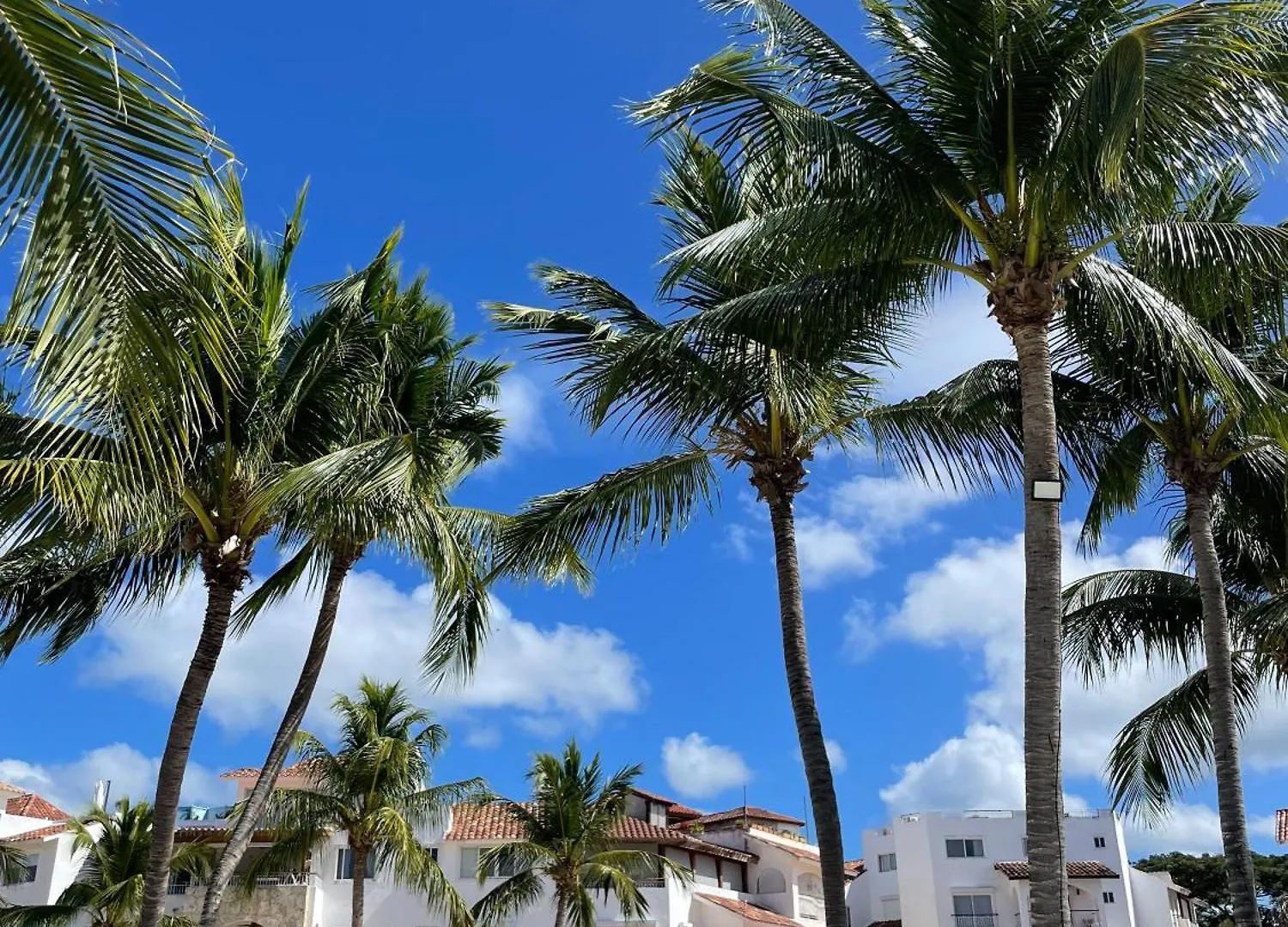 2Br Beachfront Cadaques Caribe Bayahibe République dominicaine